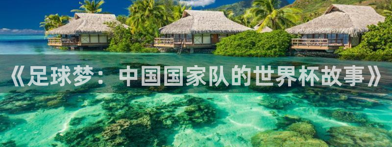 中国 世界杯:《足球梦:中国国家队的世界杯故事》