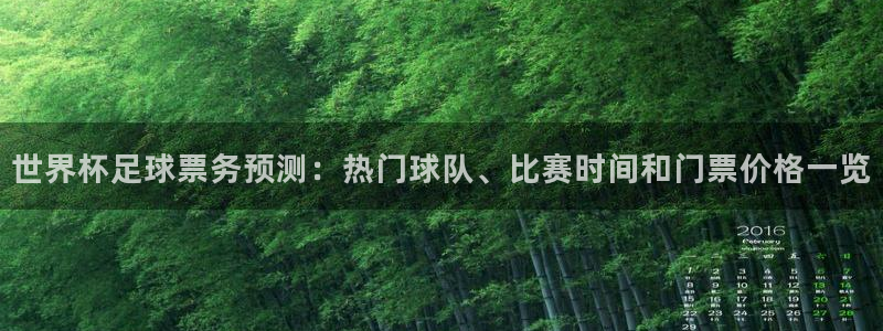 今年的世界杯:世界杯足球票务预测:热门球队、比赛时间和门票价格一览