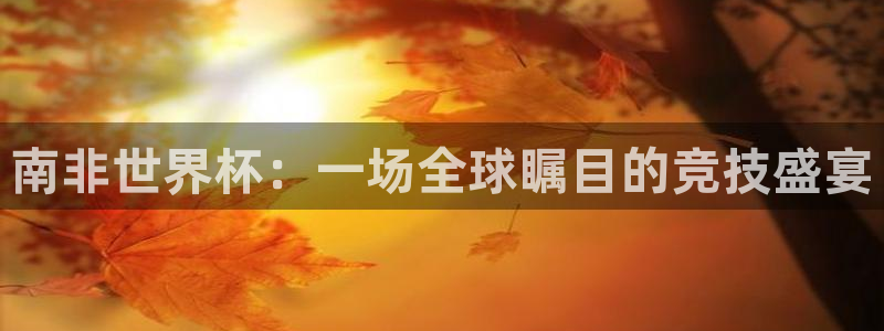 世界杯2026赛制:南非世界杯:一场全球瞩目的竞技盛宴