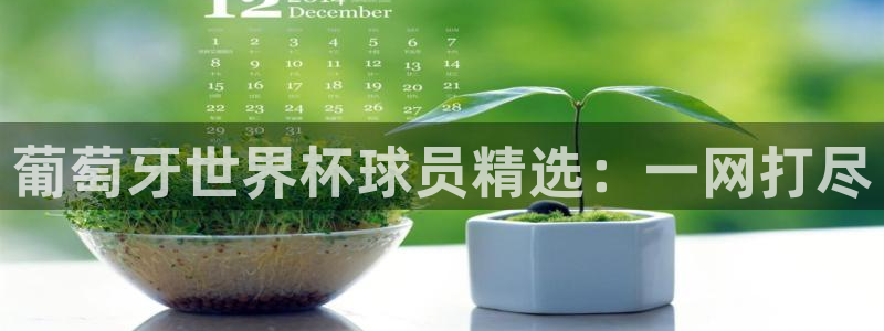 看世界杯:葡萄牙世界杯球员精选:一网打尽