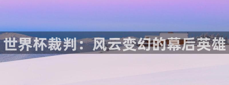 世界杯预选赛赛程:世界杯裁判:风云变幻的幕后英雄