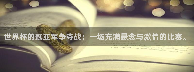 足球世预赛:世界杯的冠亚军争夺战:一场充满悬念与激情的比赛。