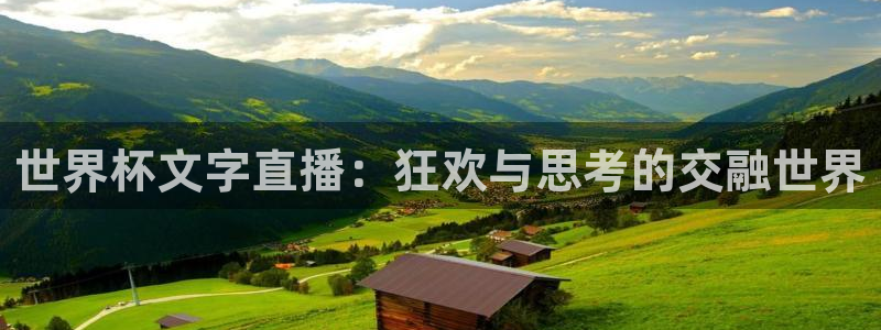 2026世界杯赛制:世界杯文字直播:狂欢与思考的交融世界