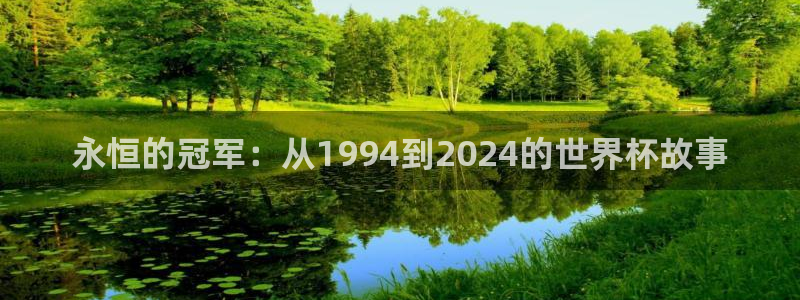 今天所有足球赛程表:永恒的冠军:从1994到2024的世界杯故事