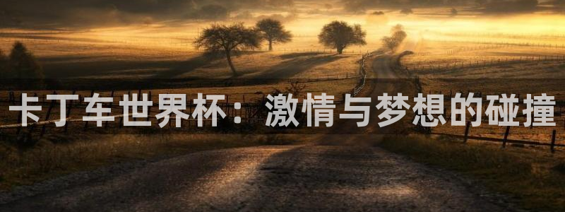 世界杯预选赛直播:卡丁车世界杯:激情与梦想的碰撞